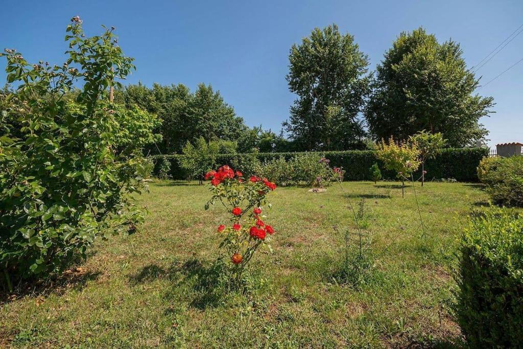 Apartment Radeki Glavica 112B Loborika Экстерьер фото